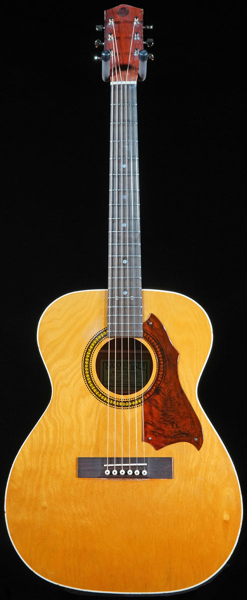 Harmony deals acoustic guitar