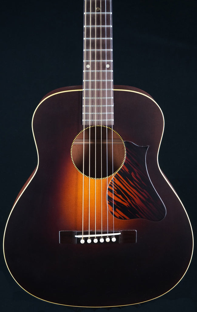 DE-11 Dan Erlewine Signature Prototype Model