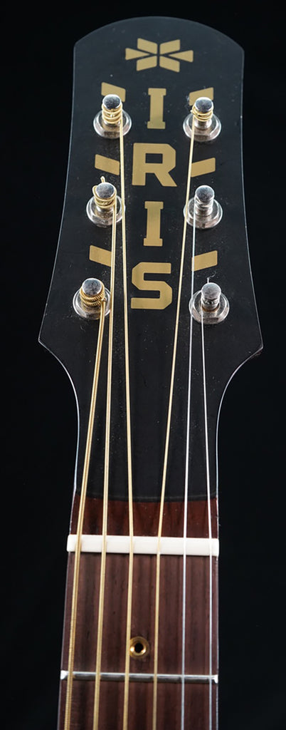 DE-11 Dan Erlewine Signature Prototype Model