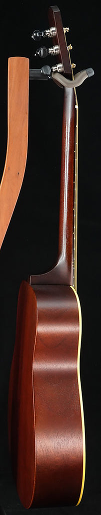 DE-11 Dan Erlewine Signature Prototype Model