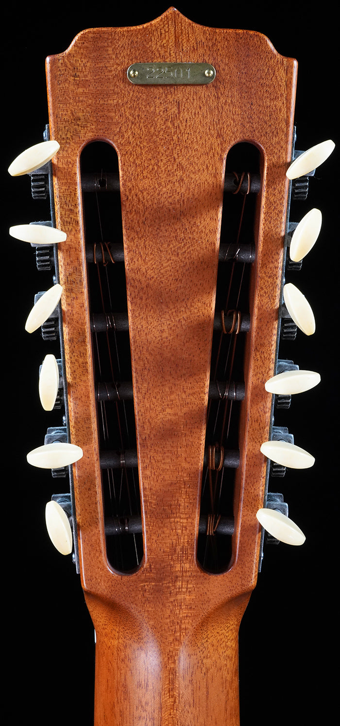 Custom 12 String Tricone