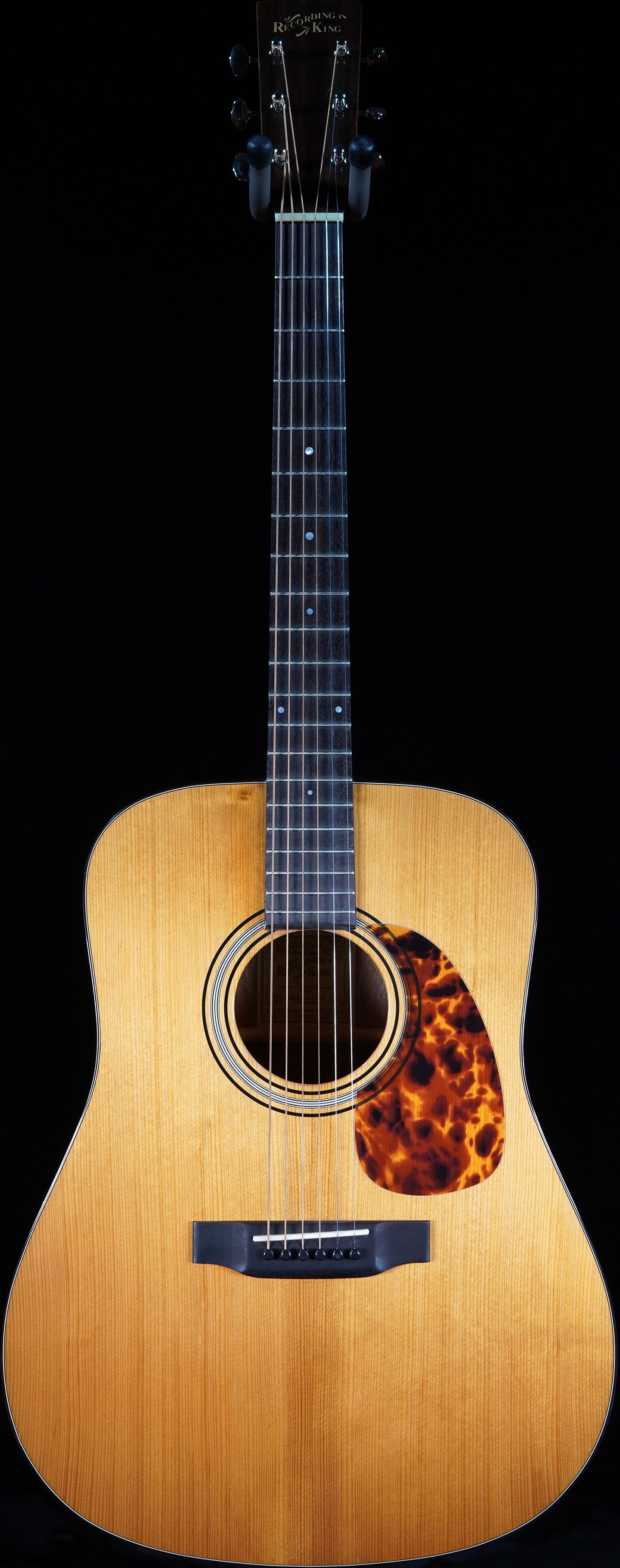 RD-T16 – StayGoldGuitars